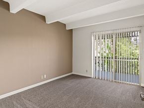 Albuquerque apartment for rent - apartment with lots of natural light in Albuquerque, NM