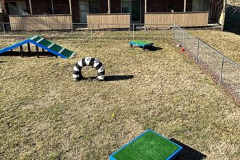 Dog park