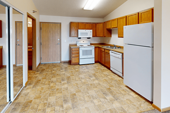 Vinyl flooring