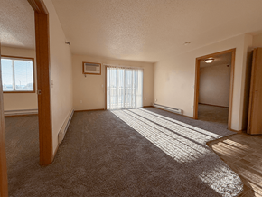 Williston apartment for rent - A sunny day with sunlight coming through the blinds in a room with carpet.
