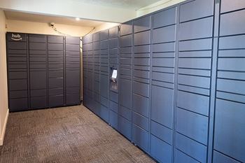 Amazon package hub