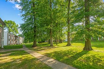 Community courtyard