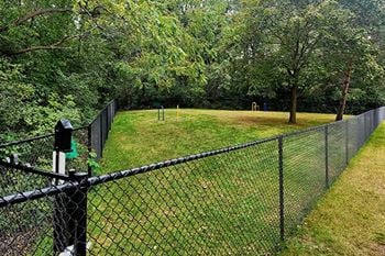 Dog park
