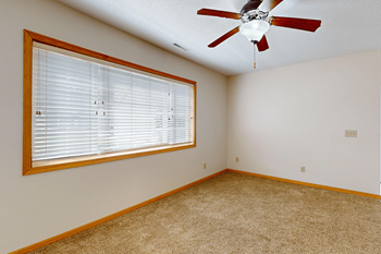 Ceiling fan