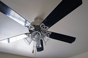 Ceiling fan