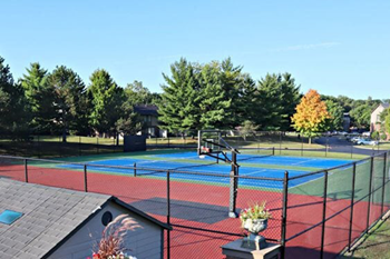 Basketball court