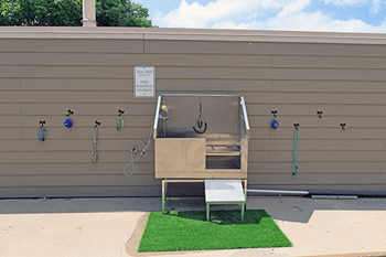 Outdoor dog wash station