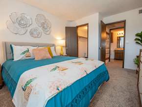 Wichita apartment for rent - a large bedroom with walk-in closet and bathroom connected