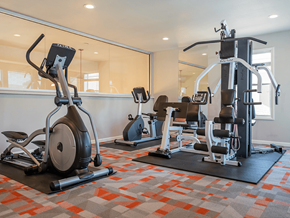 Wichita apartment for rent - an image of the gym at the enclave at woodbridge apartments in sugar land, tx