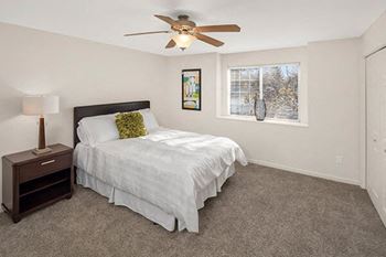 Ceiling fan*