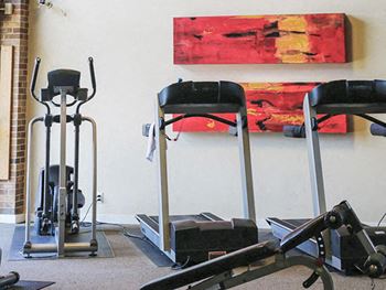 Professional fitness center