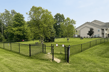 Fenced in dog park