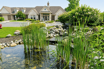 Scenic pond