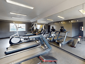 Rochester townhouse for rent - A gym with treadmills, elliptical machines, and other exercise equipment.