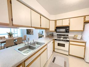 Grand Rapids apartment for rent - a kitchen with a sink and a stove