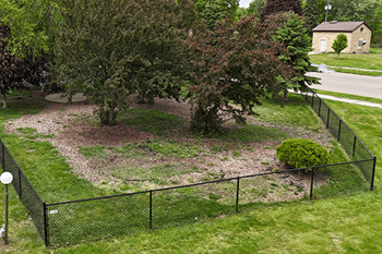 Fenced-in bark park