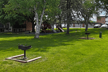 Community bbq grills
