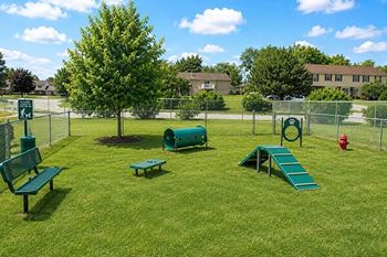 Fenced dog park