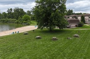 Grand Rapids apartment for rent - A tree stands in a grassy field with picnic tables and a lake in the background.