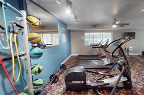 Grand Rapids apartment for rent - A gym with a Predator treadmill and exercise balls.