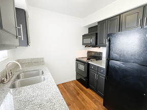 Grand Rapids apartment for rent - A kitchen with a black refrigerator, sink, and cabinets.