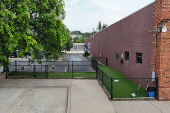 Dog park