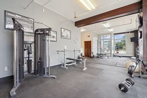 Moline apartment for rent - A gym with a variety of equipment including a squat rack, bench, and weights.