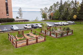 Community garden