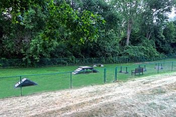 Leash free dog park