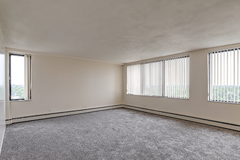 Plush carpeting
