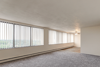 Abundance of natural light