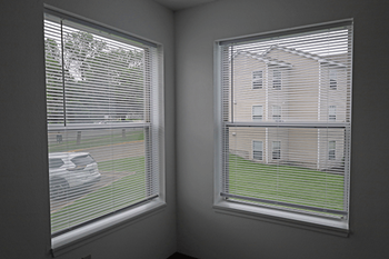 Window blinds