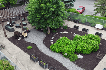 Community garden