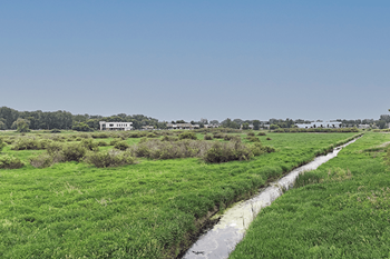 Neighboring nature preserve