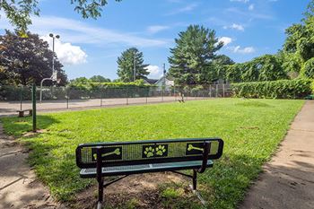 Dog park