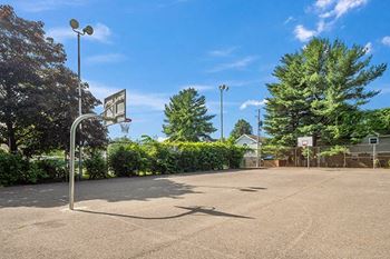 Basketball court