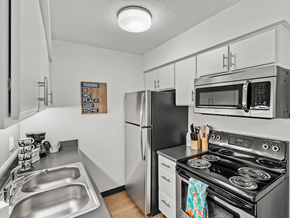 Kansas City apartment for rent - modern apartment kitchen with stainless steel appliances and sink