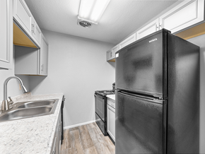 Cedar Rapids apartment for rent - Double Bowl Kitchen Sink