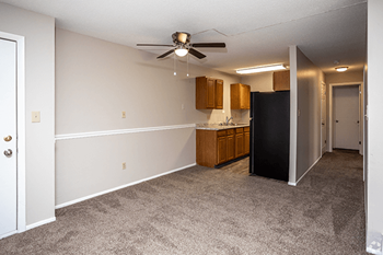 Ceiling fan