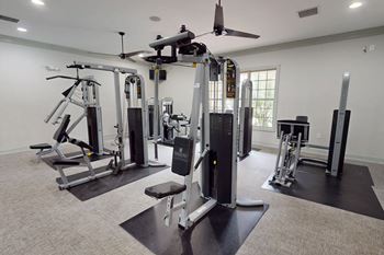 Two professional fitness centers