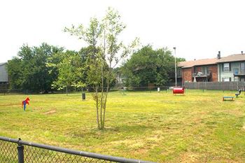 Dog park