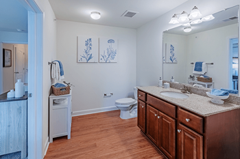 Well-lit vanities