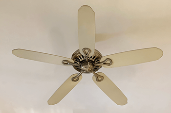 Ceiling fan