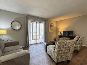 West Columbia apartment for rent - a living room with a couch and a chair and a television