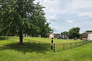 Dog park