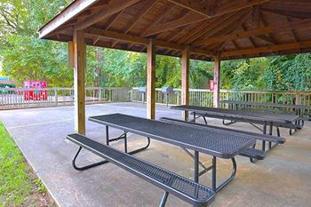 Gathering areas for picnics & bbqs