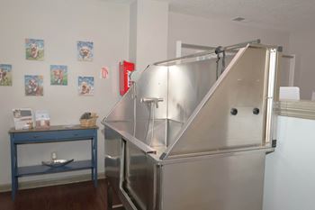 Pet washing station