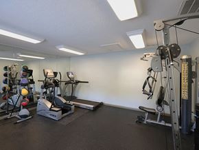 Burlington apartment for rent - a gym with weights and cardio equipment in a home gym