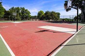 Basketball court