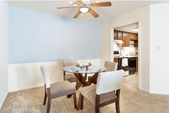 Ceiling fan